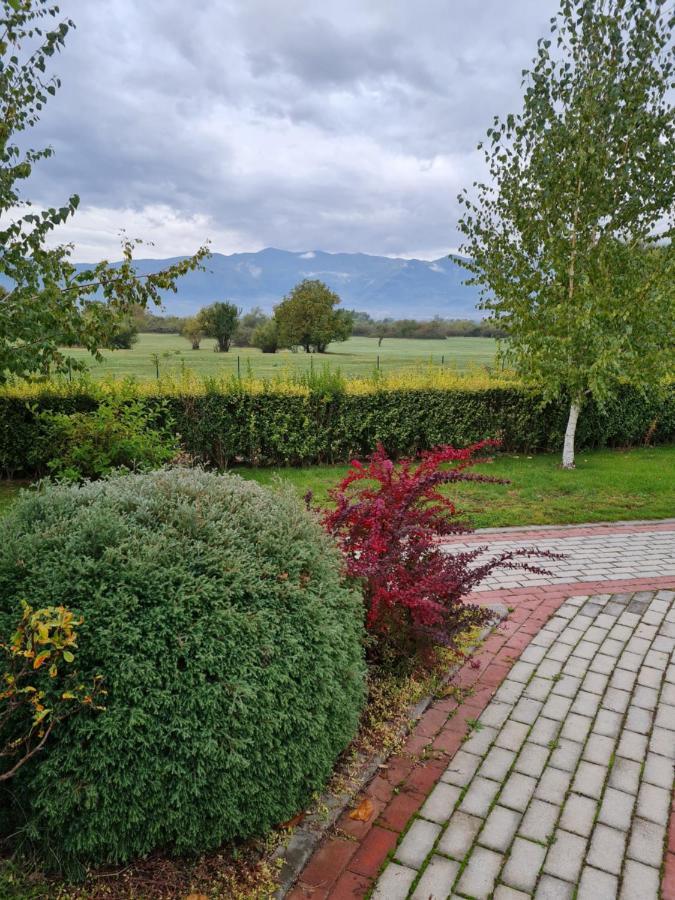 Guesthouse Green Fields Гърмен Екстериор снимка